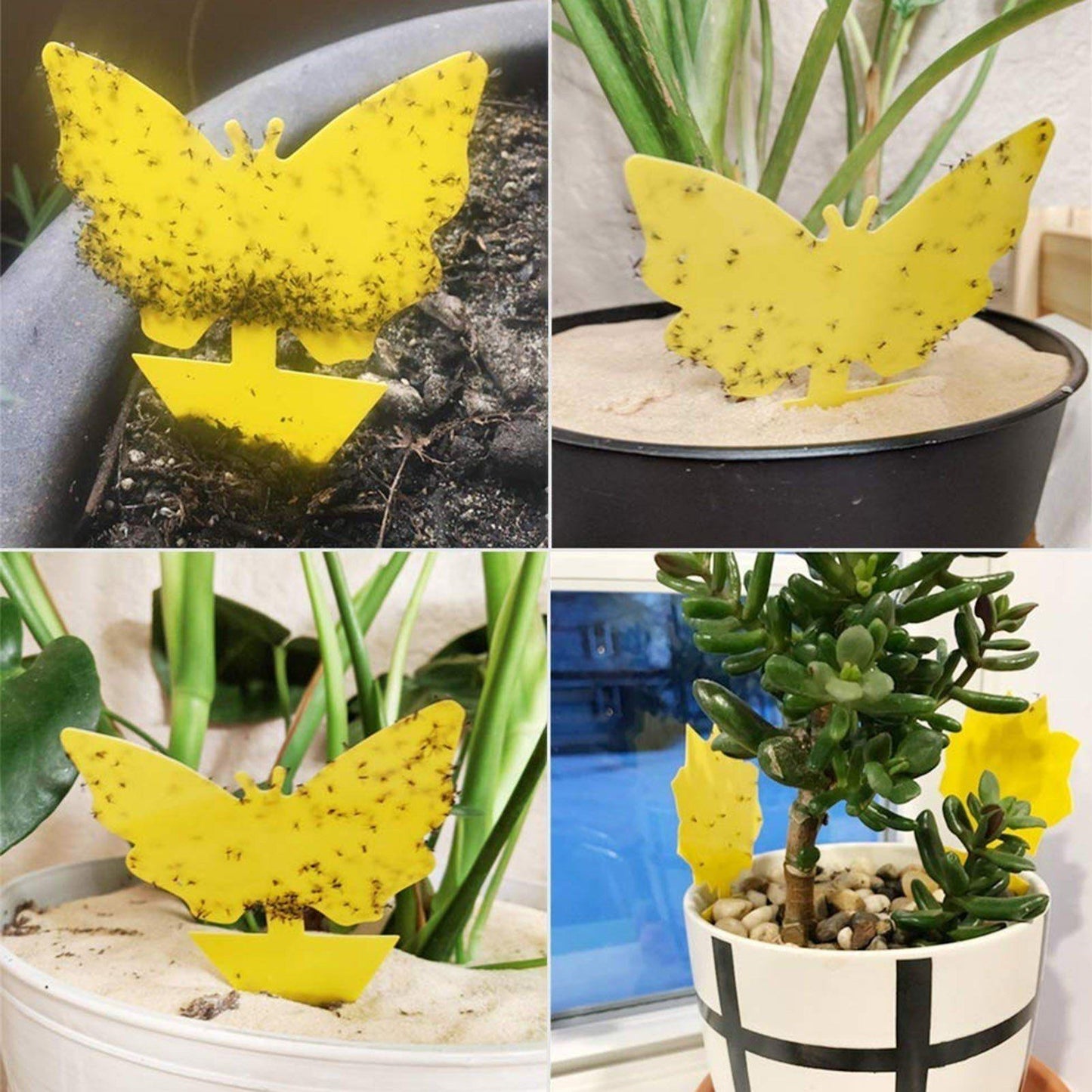 Double-Sided Flying Insect Yellow Sticky Trap