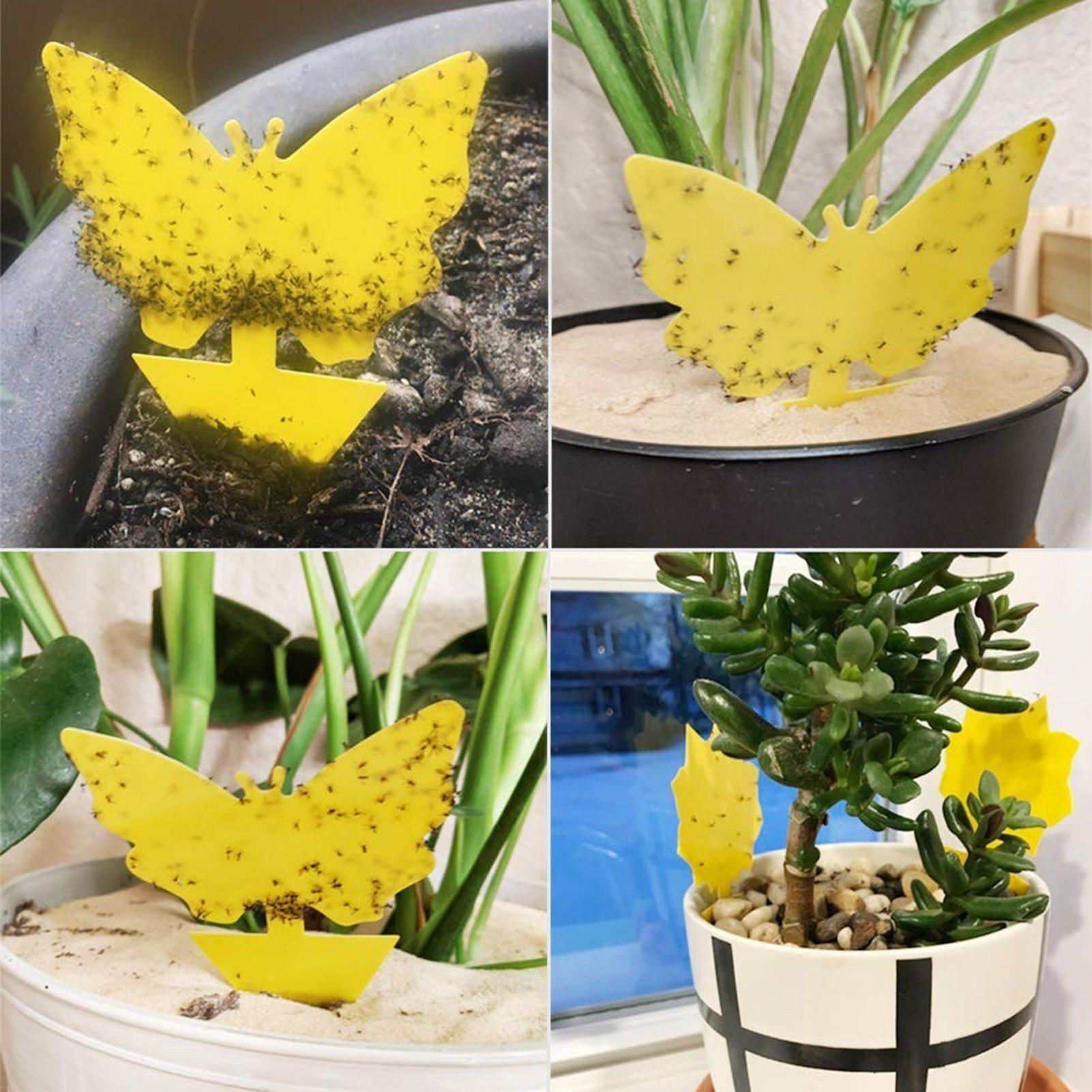 Double-Sided Flying Insect Yellow Sticky Trap